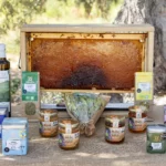 Raw Paliouri Honeycomb in Wooden Frame – Limited Edition | Papadopoulos Beekeeper Family - Image 3