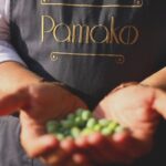 Pamako Simple Blend Litre Organic EVOO BIB - Image 3