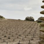 T-OINOS project - CLOS STEGASTA ASYRTIKO - Premier Organic Greek White Wine 2023 - Image 2