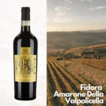 The Fidora family organic vineyard in Valpolicella, with terraced vines and calcareous soil.