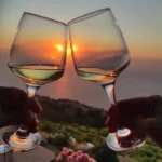 Blue Zones Living - wine testing