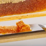 Close up on organic greek honey comb