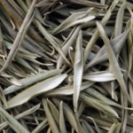 Close-up of dried olive tree leaves handpicked from Lavandia’s organic groves, showcasing their natural texture and earthy green color.