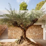 Award-winning Cuadrat Valley Elixir organic EVOO PDO Les Garrigues