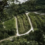 Panoramic view of Fidora Italy’s sustainable agricultural fields and surrounding landscape