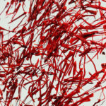 Saffron in pistils Neguine grade 1gr - Image 3