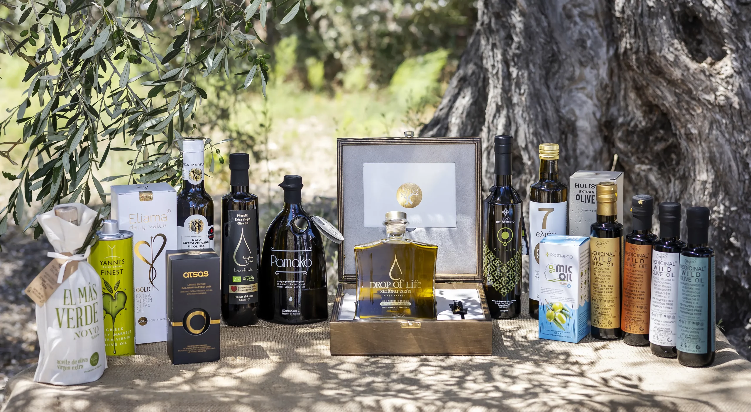 Phenols In Extra Virgin Olive Oil Are Crucial For Health Benefits Phenols In Extra Virgin Olive Oil Are Crucial For Health Benefits