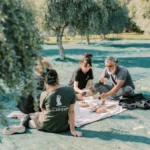 Expert tasting Holiston Extra Virgin Olive Oil, evaluating its flavor and aroma profile