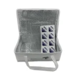 Insulated food cooling bag helping protect gourmet groceries during summer delivery