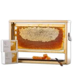 Detailed view of raw Paliouri honeycomb highlighting its natural wax structure and golden honey.