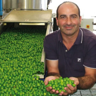 Golden-green Quattrociocchi Olivastro Organic olive oil