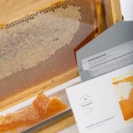 Wooden Honey Comb letters