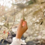 Traditional olive groves of Château d’Estoublon surrounded by Mediterranean nature
