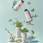 Premium extra virgin olive oil case from Jaén Spain