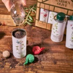 House-shaped olive oil gift box with herb seeds
