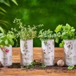 Nobleza del Sur Garden Olive 4x250ml extra virgin olive oil set with reusable tins
