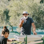 Functional olive oil with 643 mg/kg polyphenols