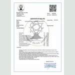 Holiston premium phenolic olive oil certificate