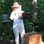 Ikaria Greek Thyme Honey | Box - Image 7