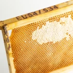 Unprocessed Honeycomb with Natural Wax Cells