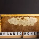 Artisanal Honeycomb Refill from Greek Forests
