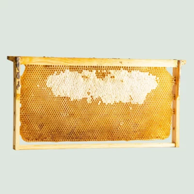 Raw Greek Honeycomb Refill – Pure & Unframed